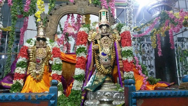Thiruvinnagar Sri Oppilliappan Venkatachalapathi Temple Aippasi Sravanam Thirukalyana Utsavam11