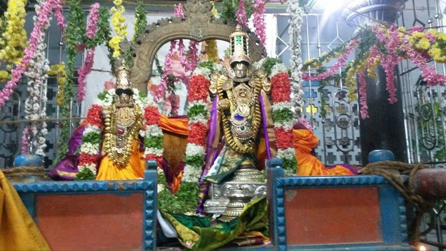 Thiruvinnagar Sri Oppilliappan Venkatachalapathi Temple Aippasi Sravanam Thirukalyana Utsavam15