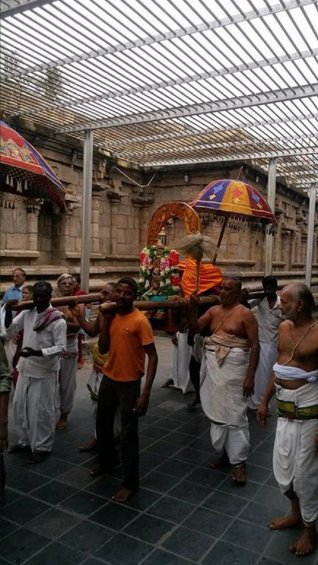 Thiruvinnagar Sri Oppilliappan Venkatachalapathi Temple Aippasi Sravanam Thirukalyana Utsavam17