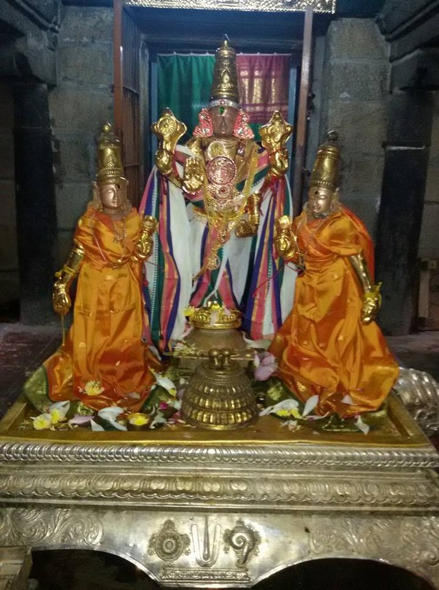 Thoopul Vilakoli Perumal Temple Sravana Purappadu  2014 1