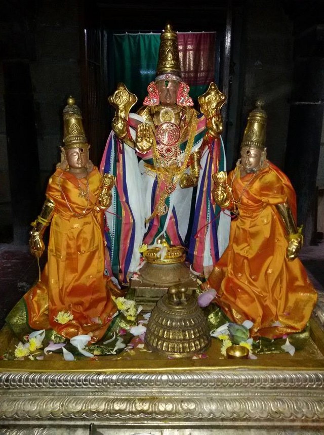 Thoopul Vilakoli Perumal Temple Sravana Purappadu  2014 2