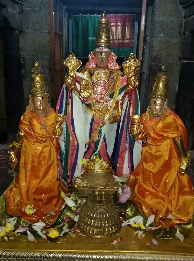 Thoopul Vilakoli Perumal Temple Sravana Purappadu  2014 4