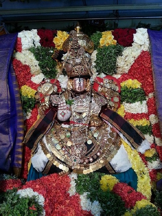 Tirupathi Sri Govindaraja Swamy Temple Sri Manavala Mamunigal Avatara Utsavam18