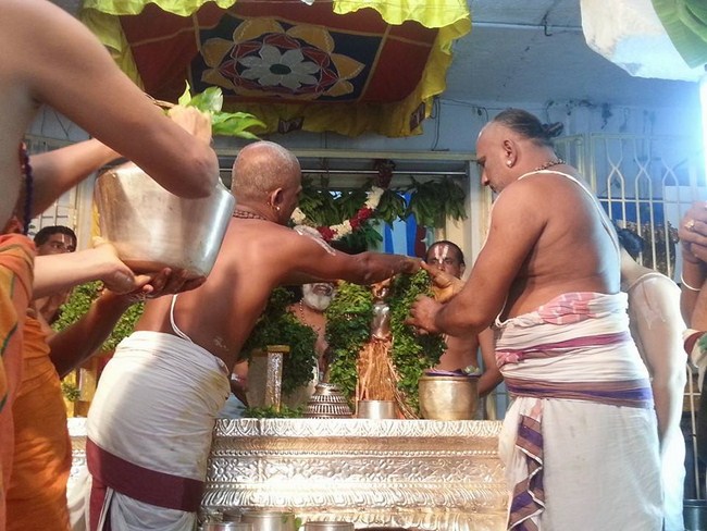 Tirupathi Sri Govindaraja Swamy Temple Sri Manavala Mamunigal Avatara Utsavam2