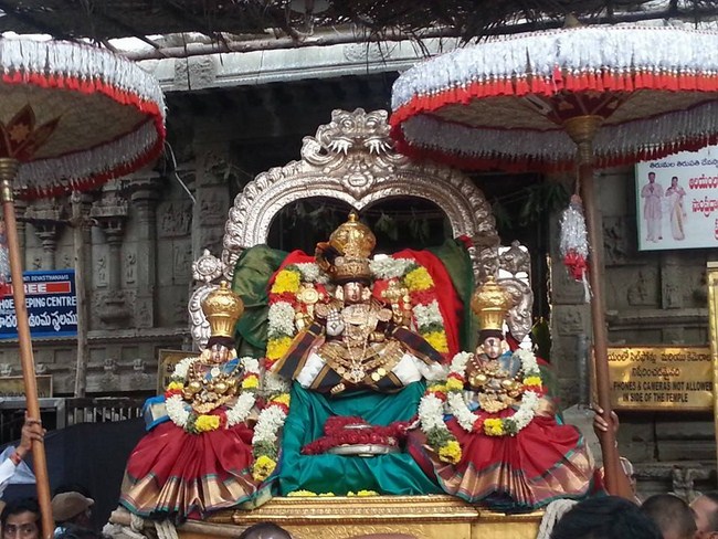 Tirupathi Sri Govindaraja Swamy Temple Sri Manavala Mamunigal Avatara Utsavam20
