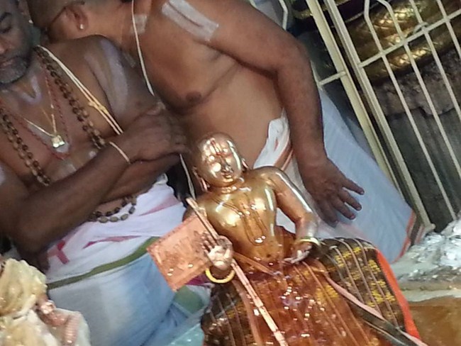 Tirupathi Sri Govindaraja Swamy Temple Sri Manavala Mamunigal Avatara Utsavam4
