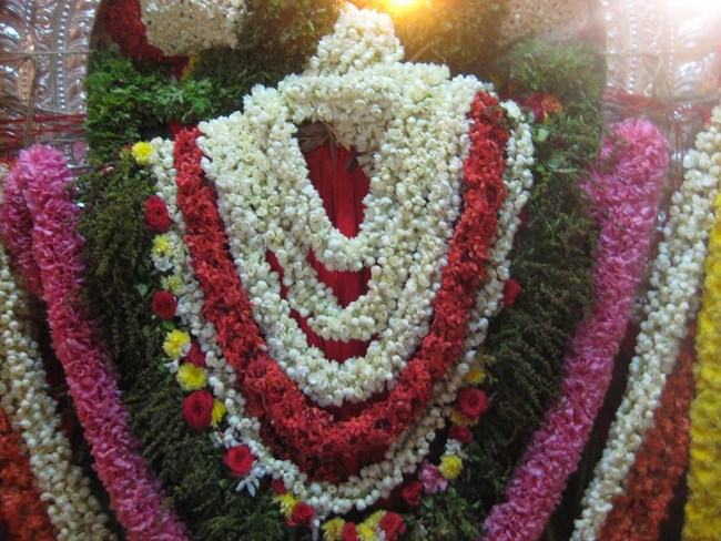Tirupathi Sri Govindaraja Swamy Temple Swami Desikan Avatara Utsavam-Mangalasasanam2