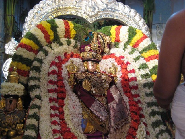 Tirupathi Sri Govindaraja Swamy Temple Swami Desikan Avatara Utsavam-Mangalasasanam25
