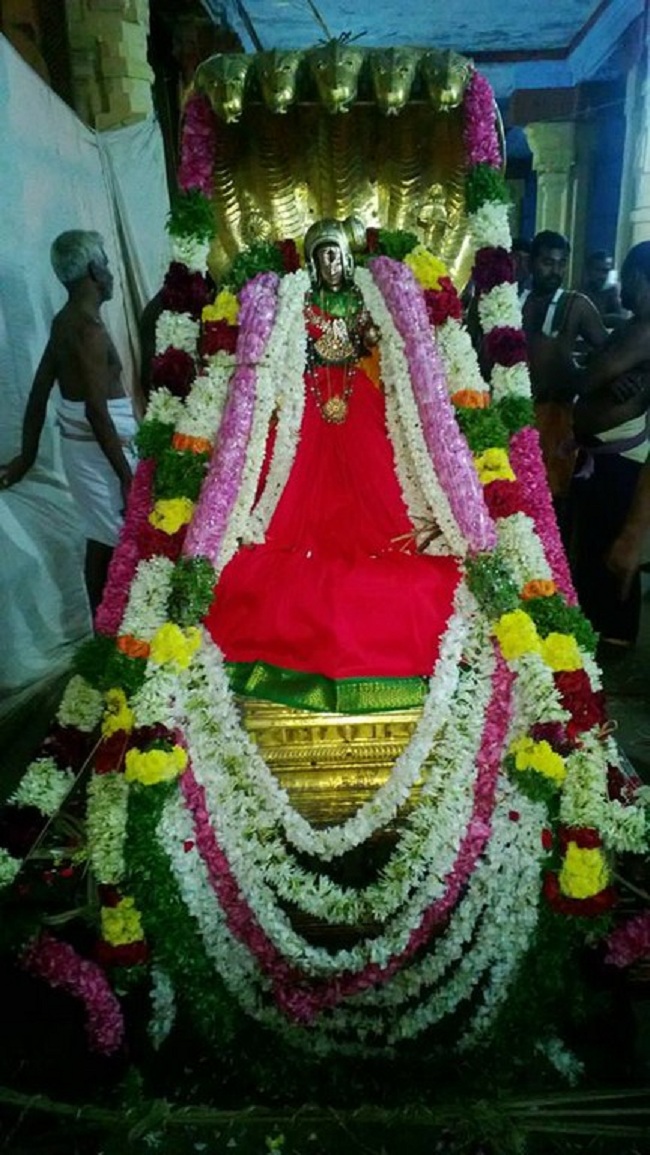 Vanamamalai Sri Deivanayaga Perumal Temple Aippasi Masa Ennaikappu Utsavam3
