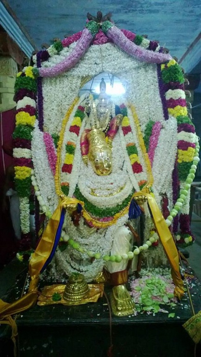 Vanamamalai Sri Deivanayaga Perumal Temple Aippasi Masa Ennaikappu Utsavam5