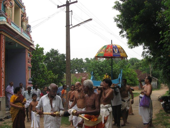 Vilakudi Sri Kasturiranga Perumal Temple Swami Desikan Theerthavari Utsavam   2014 25