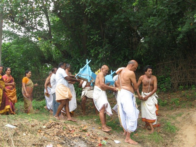 Vilakudi Sri Kasturiranga Perumal Temple Swami Desikan Theerthavari Utsavam   2014 29