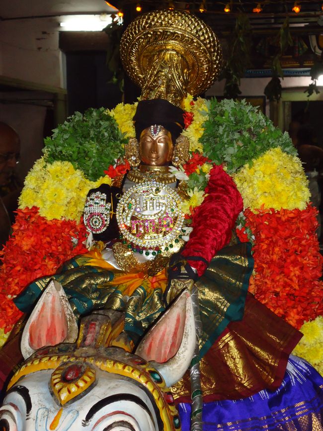 srimath poundrikapuram andavan ashramam swami desikan 2nd nov 14 (4)