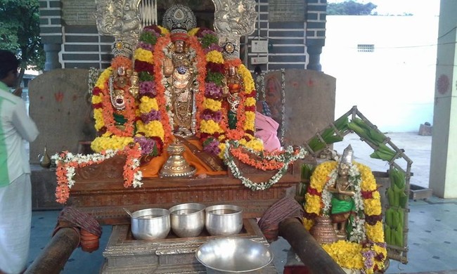 Ahobilam Hanumantha Jayanthi  Utsavam-2014-04