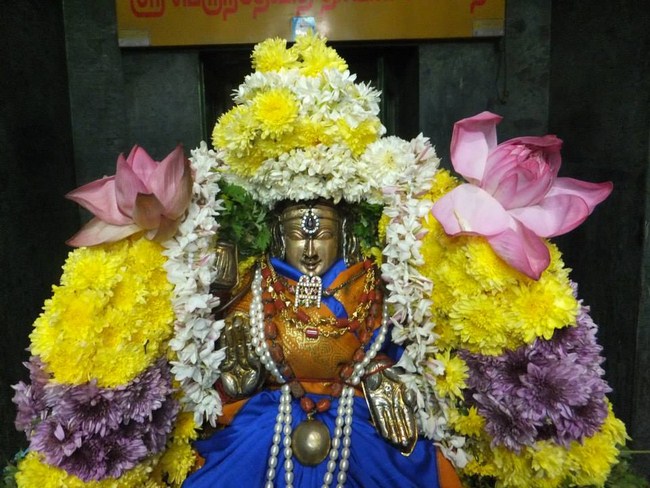 Aminjikarai Sri Perundevi Thayar Karthikai Vellikizhamai Purappadu5
