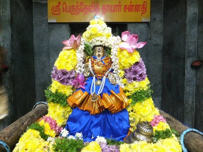 Aminjikarai Sri Perundevi Thayar Karthikai Vellikizhamai Purappadu6