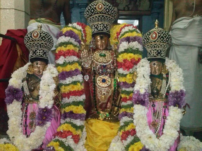 Aminjikarai Sri Prasanna Varadaraja Perumal Temple Thirukarthikai Utsavam6