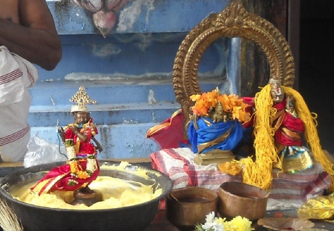 Arasanipalai Gramam Lakshmi Narayana Perumal Temple Swathi Homam -2014-06