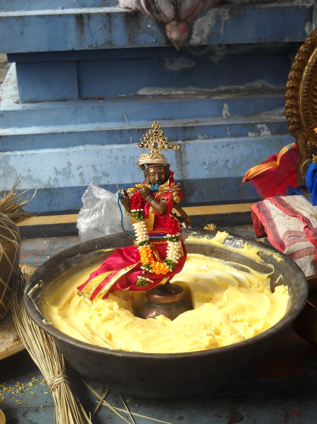 Arasanipalai Gramam Lakshmi Narayana Perumal Temple Swathi Homam -2014-07