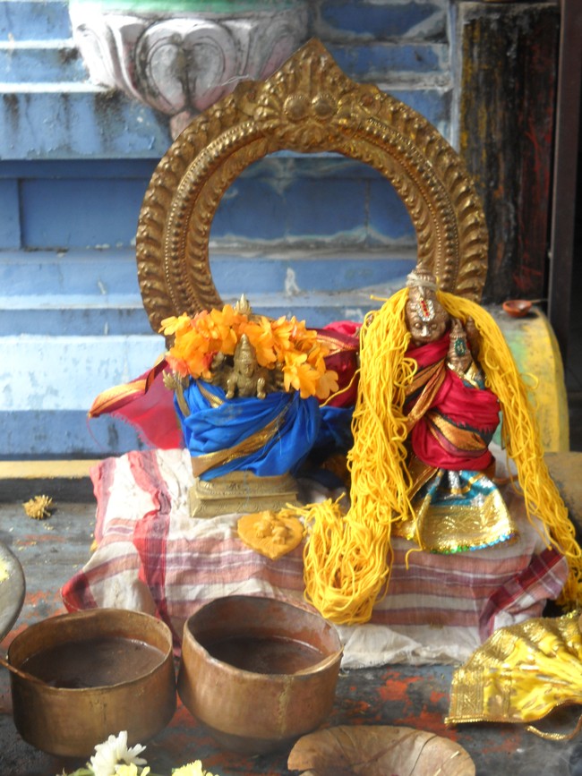 Arasanipalai Gramam Lakshmi Narayana Perumal Temple Swathi Homam -2014-10