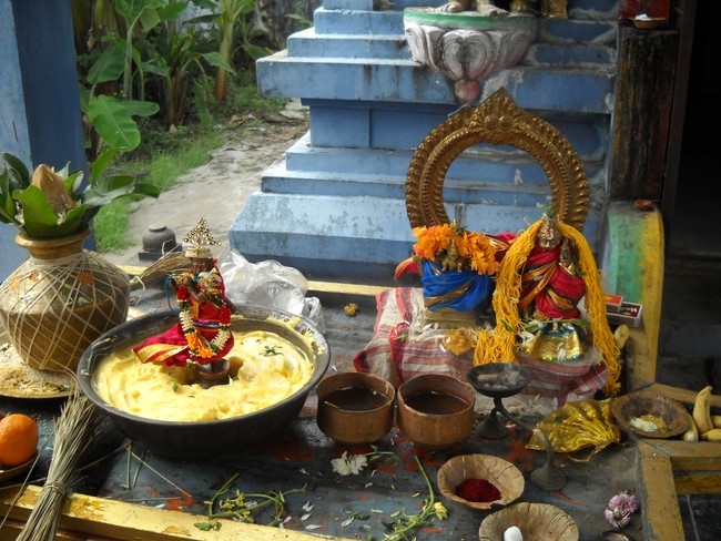 Arasanipalai Gramam Lakshmi Narayana Perumal Temple Swathi Homam -2014-12