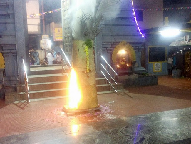 Arumbakkam Sri Satyavaradaraja Perumal Temple Thirupaanazhwar Thirunakshatram And Thirukarthikai Utsavam1