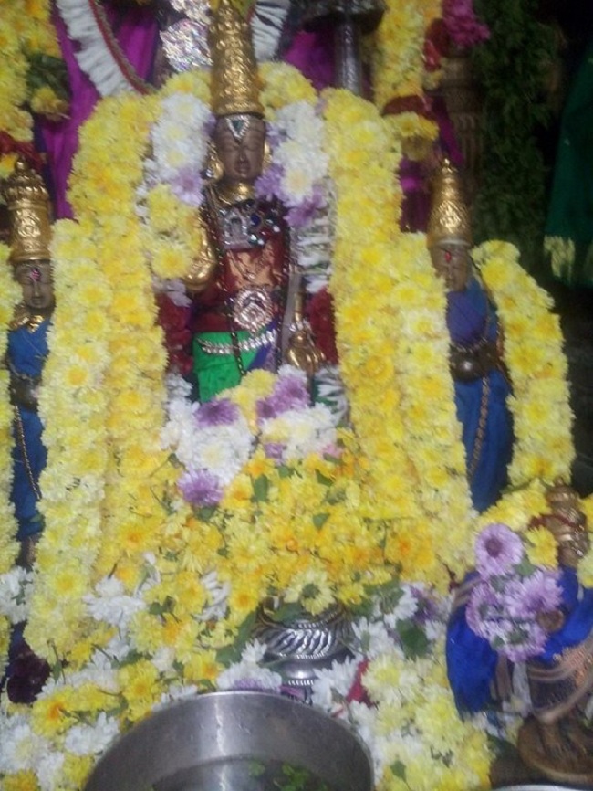 Arumbakkam Sri Satyavaradaraja Perumal Temple Thirupaanazhwar Thirunakshatram And Thirukarthikai Utsavam2