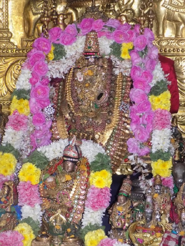 Dhanurmasa Aaradhanam At Selaiyur Sri Ahobila Mutt9