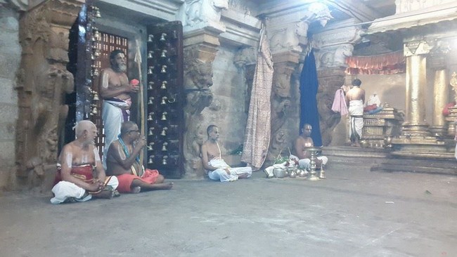 HH 46th Srimath Azhagiyasingar Irandam Naal Mangalasasanam At Azhwar Thirunagari Sri Adhinathar Kovil 5