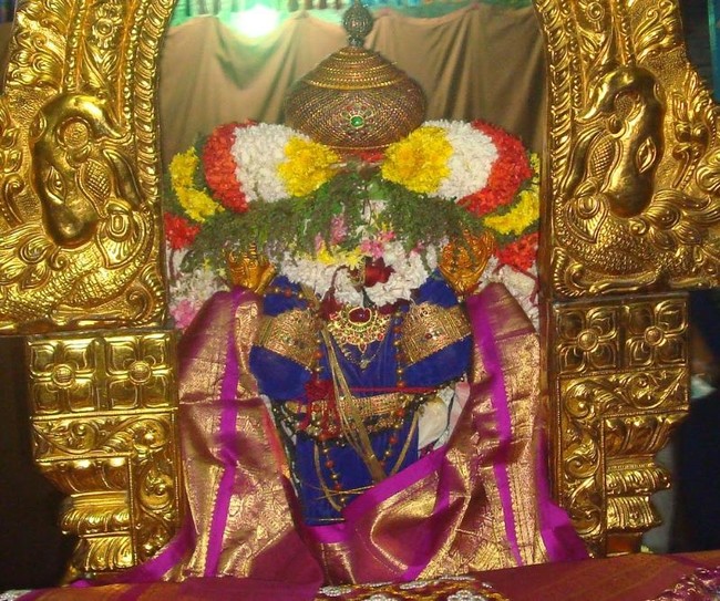 Kanchi Devarajaswami  Temple THirupaanazhwar and  Thirukarthikai Utsavam  -2014-05