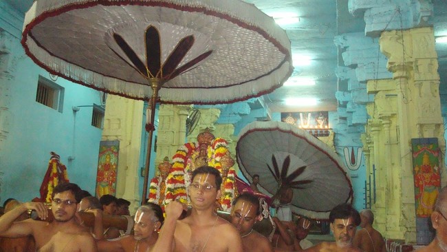 Kanchi Devarajaswami  Temple THirupaanazhwar and  Thirukarthikai Utsavam  -2014-41