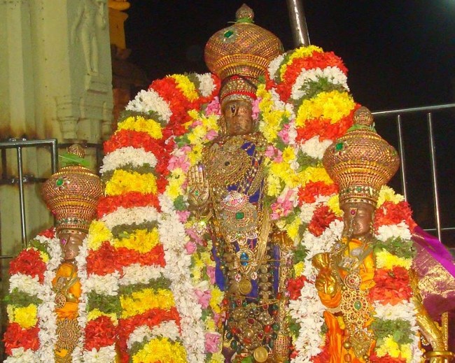Kanchi Devarajaswami  Temple THirupaanazhwar and  Thirukarthikai Utsavam  -2014-45
