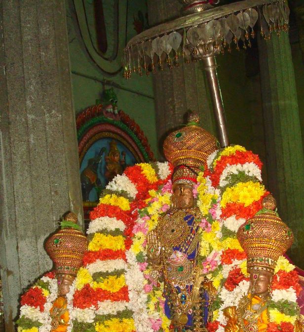 Kanchi Devarajaswami  Temple THirupaanazhwar and  Thirukarthikai Utsavam  -2014-50