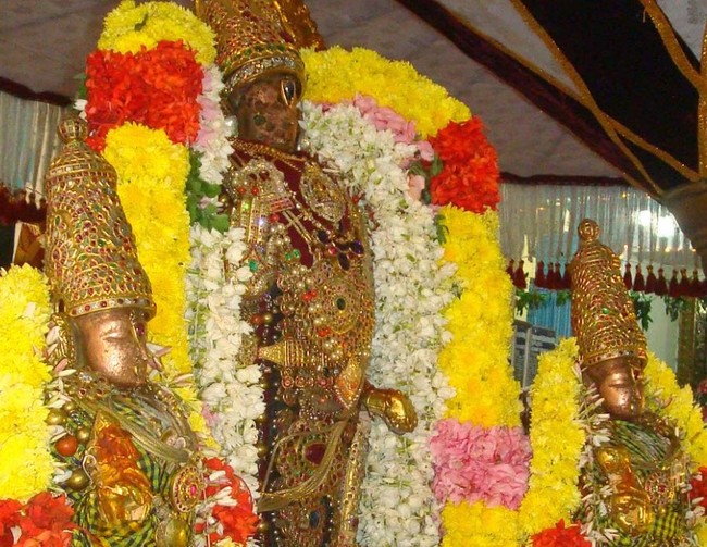 Kanchi Devarajaswami Temple Thirumangai Azhwar THirunakshatra i Utsavam  -2014-11