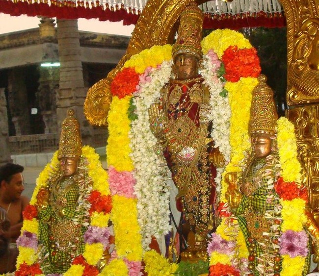 Kanchi Devarajaswami Temple Thirumangai Azhwar THirunakshatra i Utsavam  -2014-14