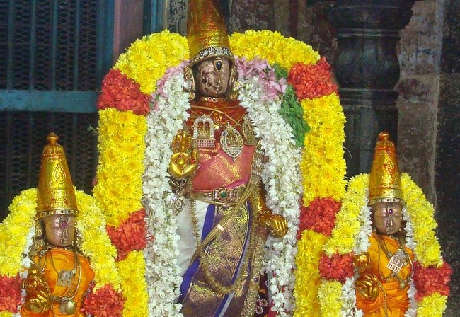 Kanchi Devarajaswami Temple Thirumangai Azhwar THirunakshatra i Utsavam  -2014-78