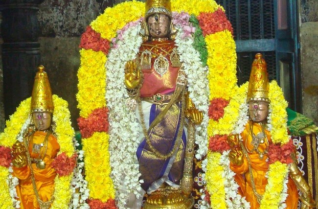 Kanchi Devarajaswami Temple Thirumangai Azhwar THirunakshatra i Utsavam  -2014-82