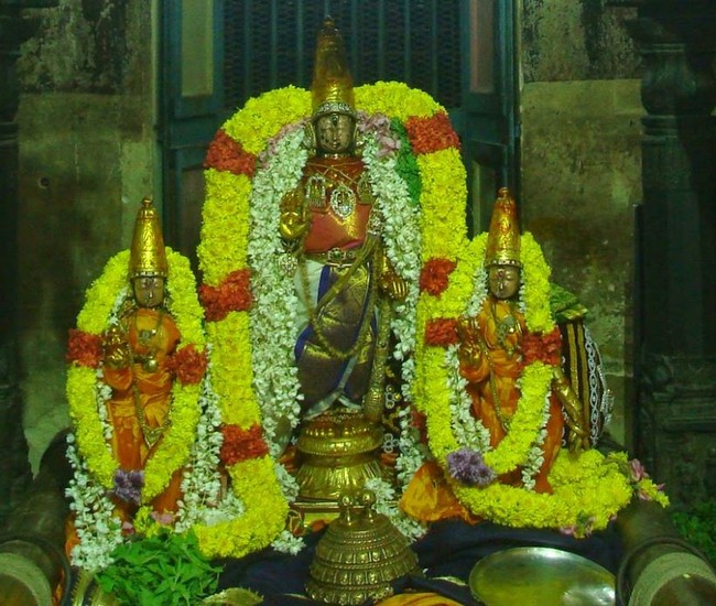 Kanchi Devarajaswami Temple Thirumangai Azhwar THirunakshatra i Utsavam  -2014-85