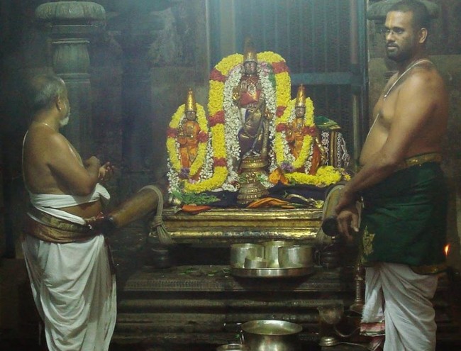 Kanchi Devarajaswami Temple Thirumangai Azhwar THirunakshatra i Utsavam  -2014-91