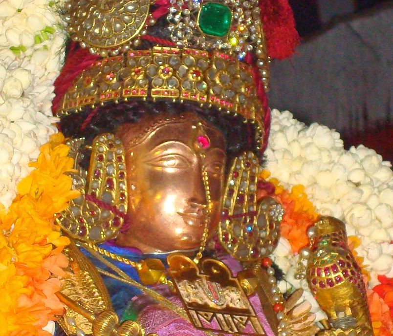 Kanchi Perumal Kovil Sri Andal THiruvadipooram Utsavam  day 10 2014 50