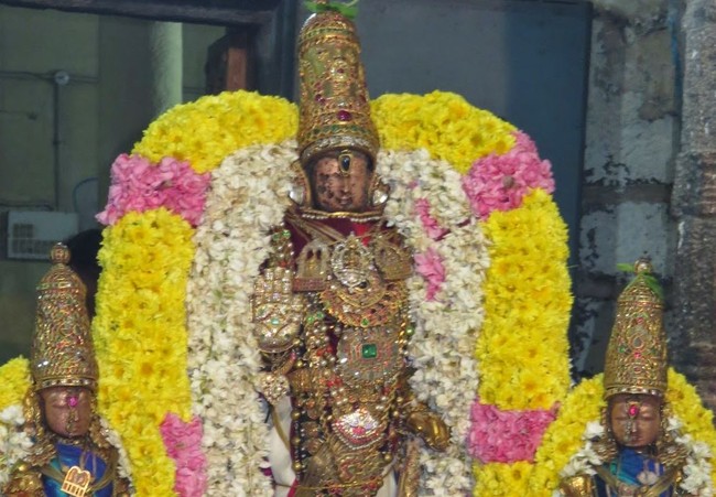Kanchi Sri Devarajaswami Kovil THondaradipodi azhwar Thirunakshatram-2014-25