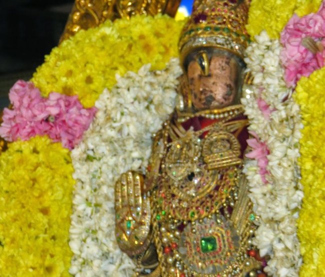 Kanchi Sri Devarajaswami Kovil THondaradipodi azhwar Thirunakshatram-2014-28