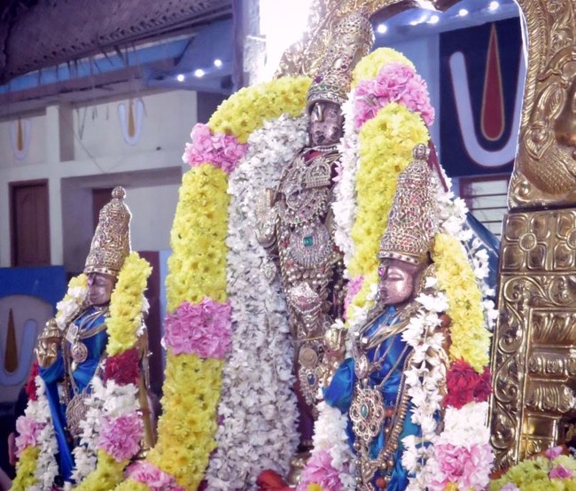 Kanchi Sri Devarajaswami Kovil THondaradipodi azhwar Thirunakshatram-2014-34