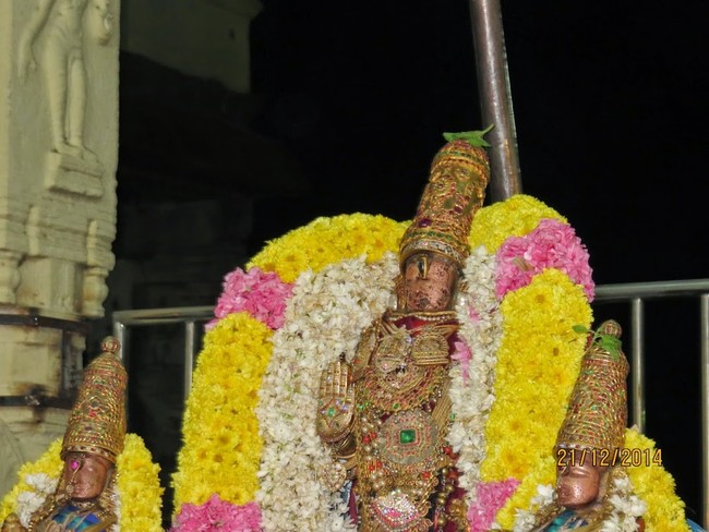 Kanchi Sri Devarajaswami Kovil THondaradipodi azhwar Thirunakshatram-2014-36