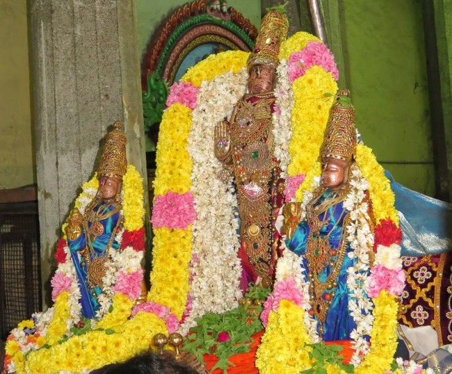 Kanchi Sri Devarajaswami Kovil THondaradipodi azhwar Thirunakshatram-2014-39