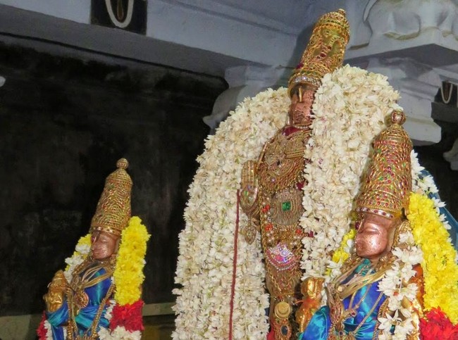 Kanchi Sri Devarajaswami Kovil THondaradipodi azhwar Thirunakshatram-2014-41