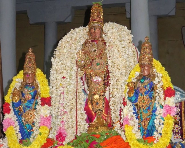 Kanchi Sri Devarajaswami Kovil THondaradipodi azhwar Thirunakshatram-2014-46