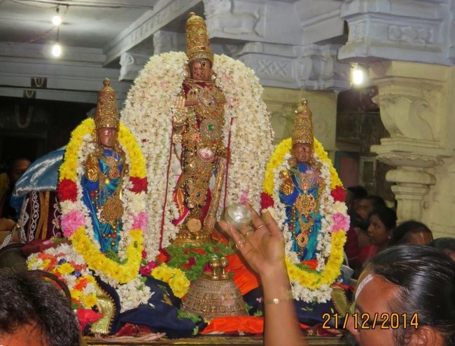 Kanchi Sri Devarajaswami Kovil THondaradipodi azhwar Thirunakshatram-2014-48