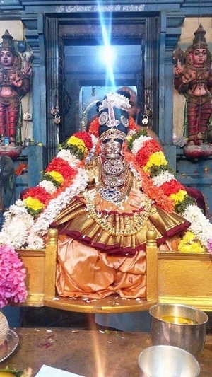 Keelkattalai Sri Srinivasa Perumal Temple Panchami Theertha Utsavam1