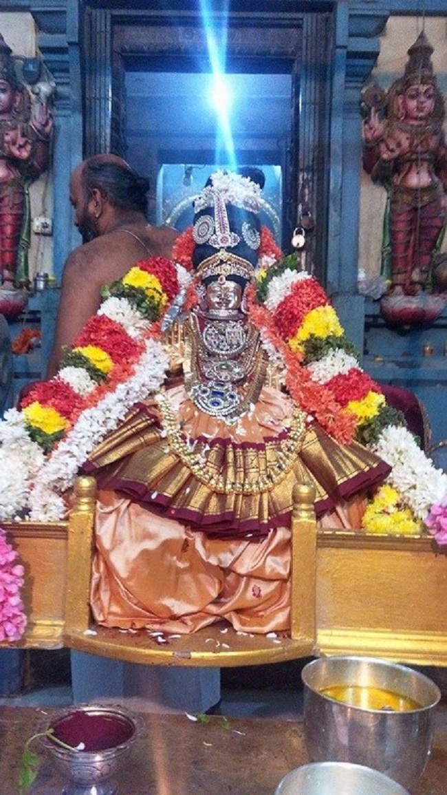 Keelkattalai Sri Srinivasa Perumal Temple Panchami Theertha Utsavam2